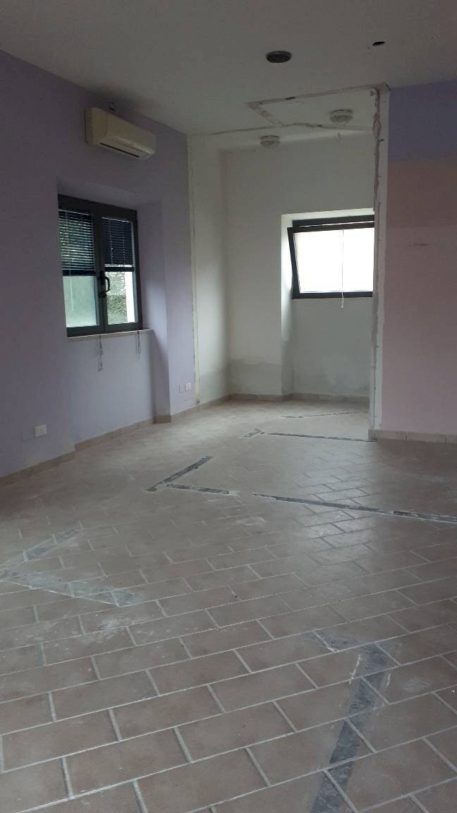 Attività Commerciale Viale Europa, Lucca (zona San Concordio Contrada) - foto 1