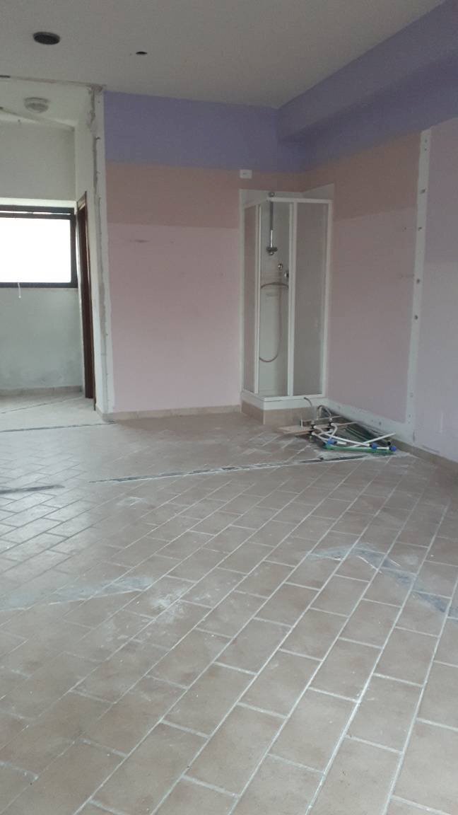 Attività Commerciale Viale Europa, Lucca (zona San Concordio Contrada) - foto 2