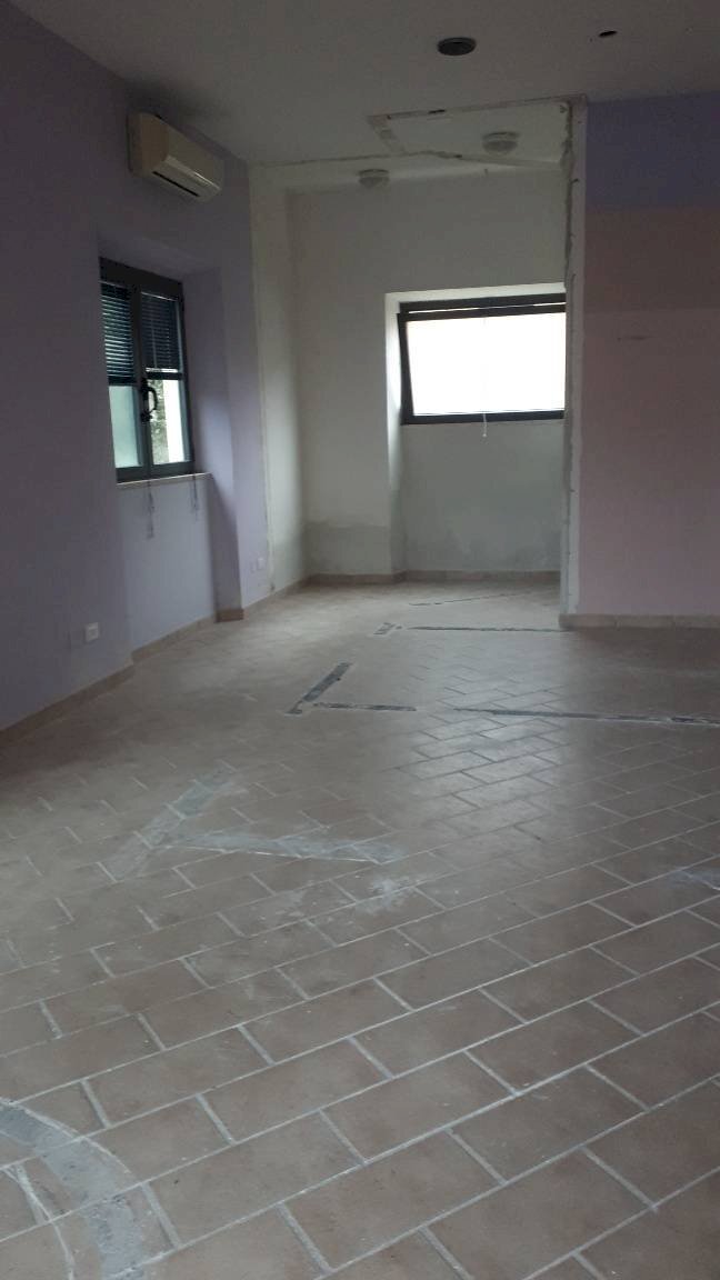 Attività Commerciale Viale Europa, Lucca (zona San Concordio Contrada) - foto 3