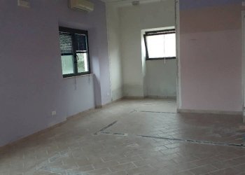 Attività Commerciale Viale Europa, Lucca (zona San Concordio Contrada) - foto 7