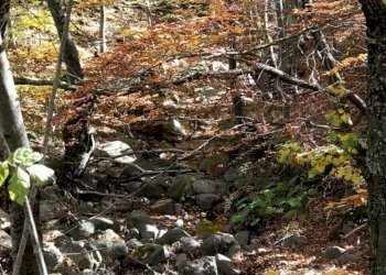 Two-room apartment Sestola - photo 5