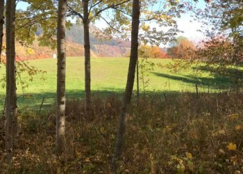 Two-room apartment Sestola - photo 7