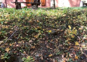 Bilocale Sestola - foto 19