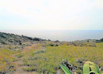 jhshjj - Villa Pantelleria - foto 14
