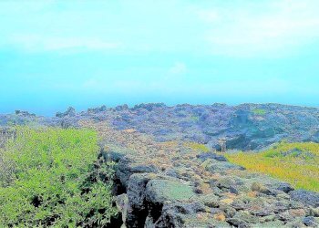 jjjj - Villa Pantelleria - foto 15