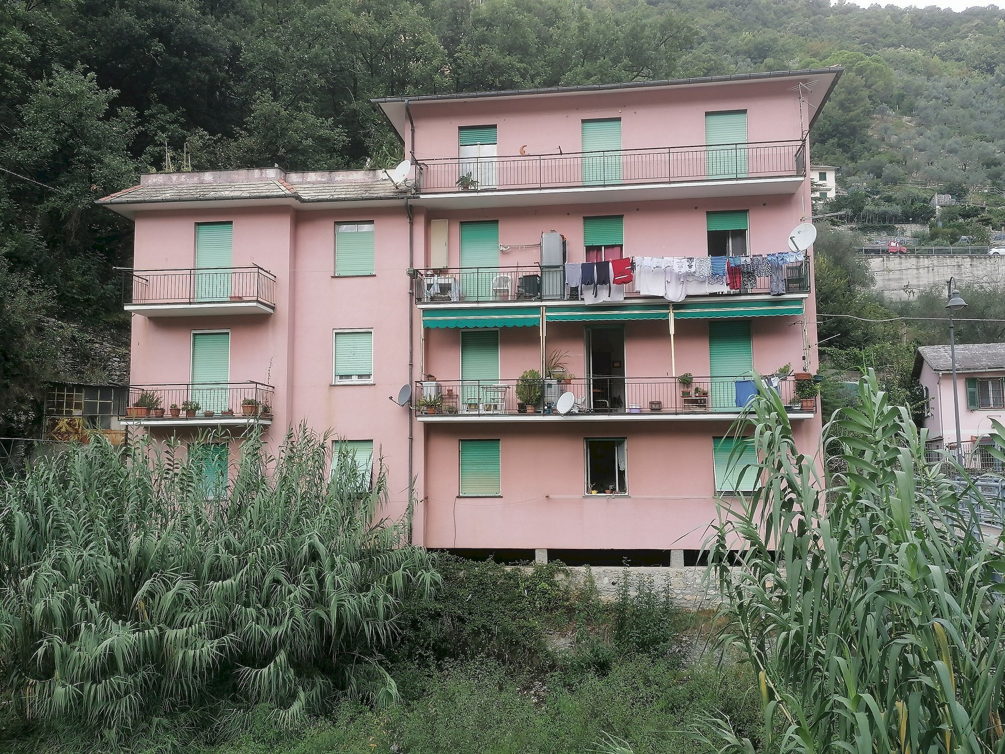 Apartment Sori - photo 1