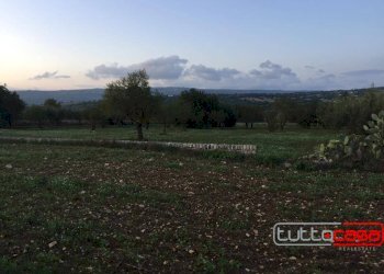 Rustico CONTRADA CUTURI, Scicli - foto 7