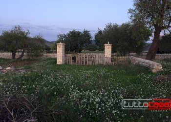 Rustico CONTRADA CUTURI, Scicli - foto 8