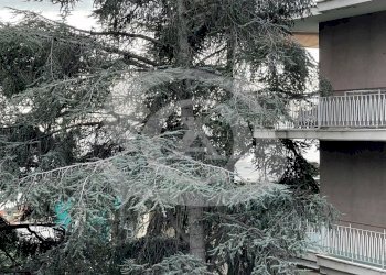 IMG_0200.jpg - Appartamento Corso Regina Margherita 158, Ospedaletti - foto 17