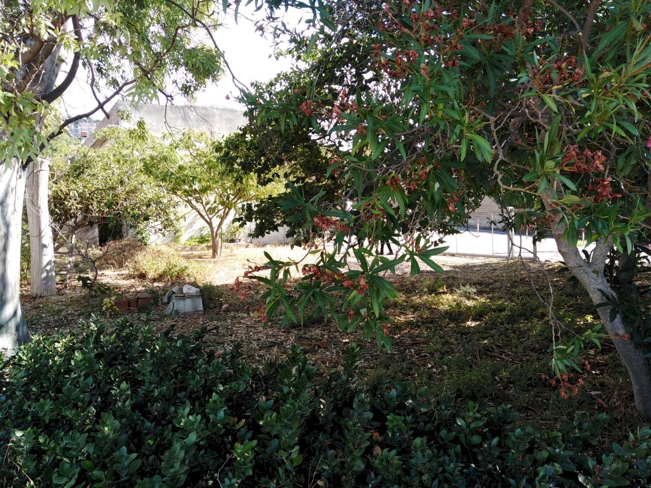 IMG_20200912_161142.jpg - Villa Chiaramonte Gulfi - photo 3