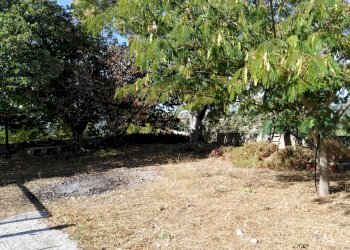 IMG_20200912_161259.jpg - Villa Chiaramonte Gulfi - foto 1