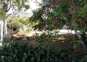 IMG_20200912_161142.jpg - Villa Chiaramonte Gulfi - foto 3