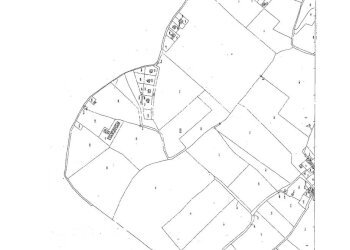 CCF01092020_00002 - Copia.jpg - Agricultural land Ragusa - photo 2