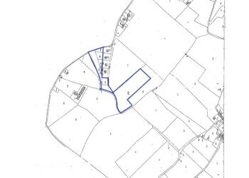 CCF01092020_00002 - Copia - Copia.jpg - Agricultural land Ragusa - photo 3