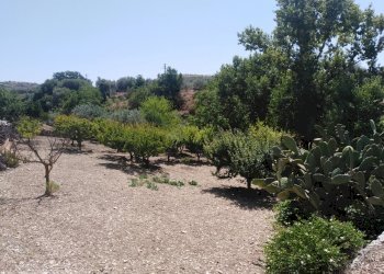 IMG_20200627_111618.jpg - Villa Chiaramonte Gulfi - foto 5