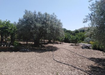 IMG_20200627_111710.jpg - Villa Chiaramonte Gulfi - foto 6