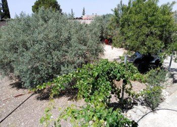 IMG_20200627_112951.jpg - Villa Chiaramonte Gulfi - foto 24