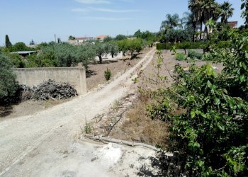 IMG_20200627_112919.jpg - Villa Chiaramonte Gulfi - foto 26