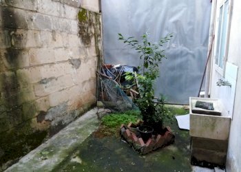 IMG_20191118_152631.jpg - Villa Ragusa - foto 10