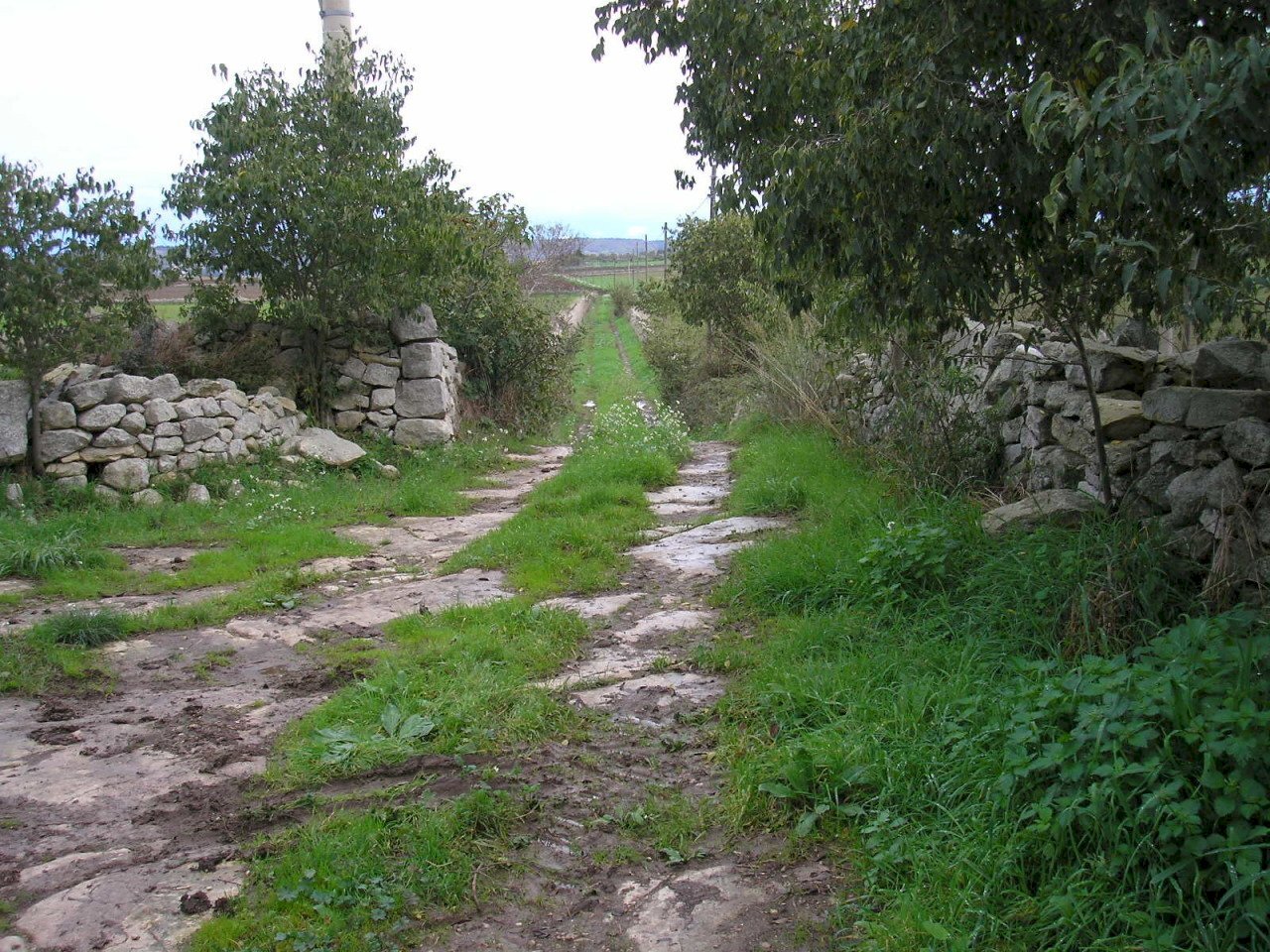 P1010023.JPG - Casale Ragusa - foto 2