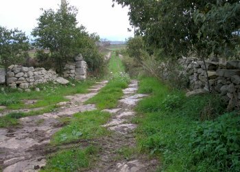 P1010023.JPG - Casale Ragusa - foto 2