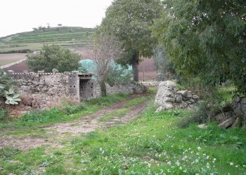 P1010021.JPG - Casale Ragusa - foto 3