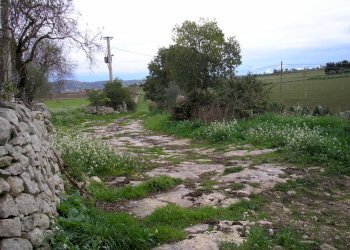 P1010022.JPG - Casale Ragusa - foto 4