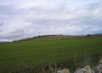 P1010034.JPG - Casale Ragusa - foto 20