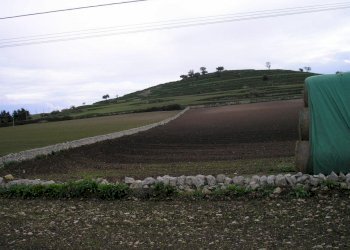 P1010042.JPG - Casale Ragusa - foto 22