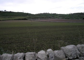 P1010036.JPG - Casale Ragusa - foto 23