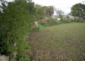 P1010037.JPG - Casale Ragusa - foto 24