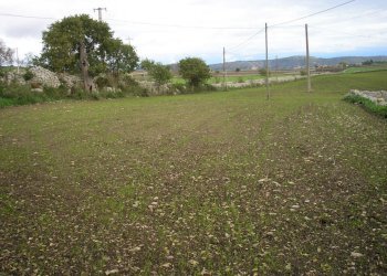 P1010038.JPG - Casale Ragusa - foto 25