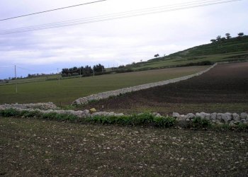 P1010041.JPG - Casale Ragusa - foto 28