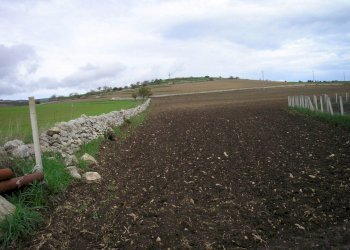 P1010024.JPG - Casale Ragusa - foto 29