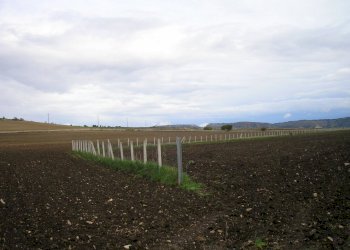 P1010025.JPG - Casale Ragusa - foto 30