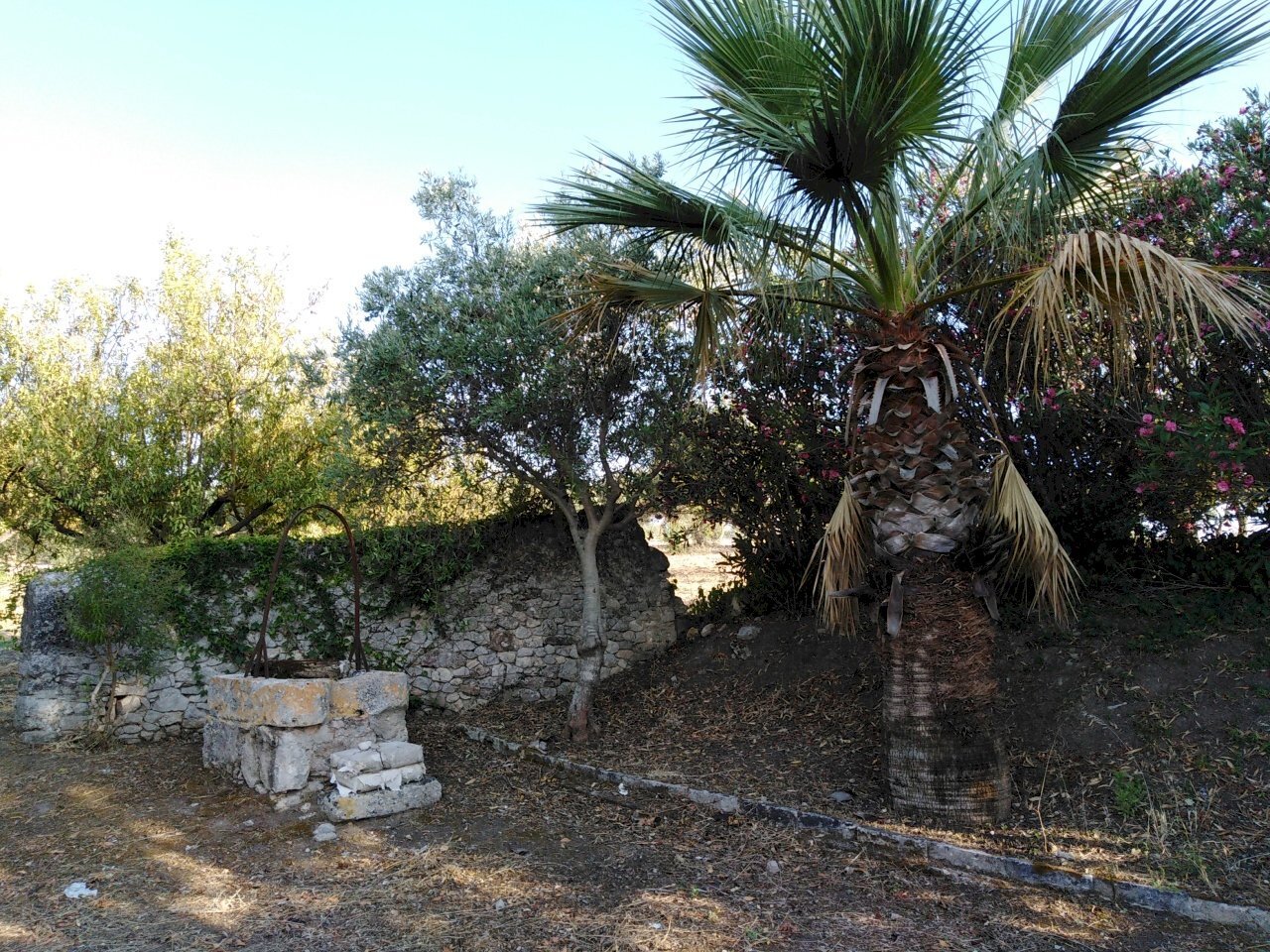 IMG_20190716_183742.jpg - Villa Chiaramonte Gulfi - photo 2