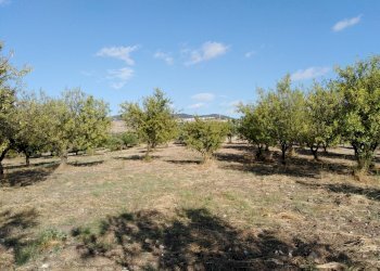 IMG_20190716_181621.jpg - Villa Chiaramonte Gulfi - foto 9