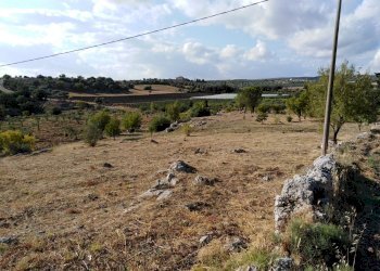 IMG_20190716_181218.jpg - Villa Chiaramonte Gulfi - foto 15