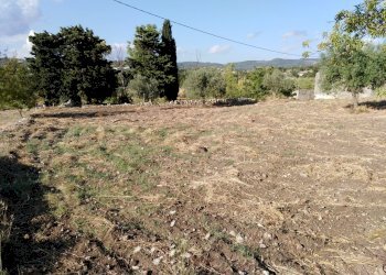 IMG_20190716_181228.jpg - Villa Chiaramonte Gulfi - foto 16