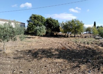 IMG_20190716_181325.jpg - Villa Chiaramonte Gulfi - foto 17