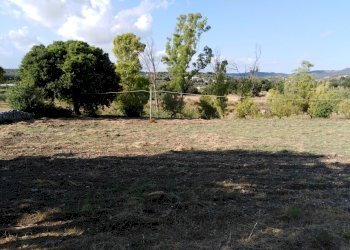 IMG_20190716_181411.jpg - Villa Chiaramonte Gulfi - foto 18