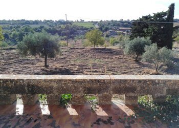 IMG_20190716_182255.jpg - Villa Chiaramonte Gulfi - foto 5