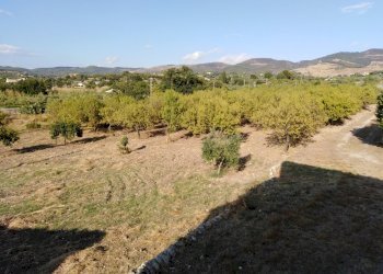 IMG_20190716_181747.jpg - Villa Chiaramonte Gulfi - foto 21