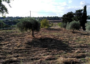 IMG_20190716_181516.jpg - Villa Chiaramonte Gulfi - foto 23