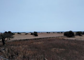 IMG_20190704_153306.jpg - Villa Ragusa - foto 1