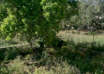 IMG-20190310-WA0013.jpg - Casale Ragusa - foto 3