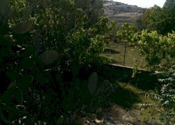 IMG-20190310-WA0014.jpg - Casale Ragusa - foto 4