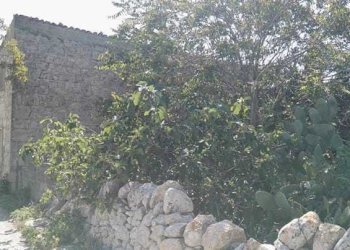 IMG-20190310-WA0007.jpg - Casale Ragusa - foto 9