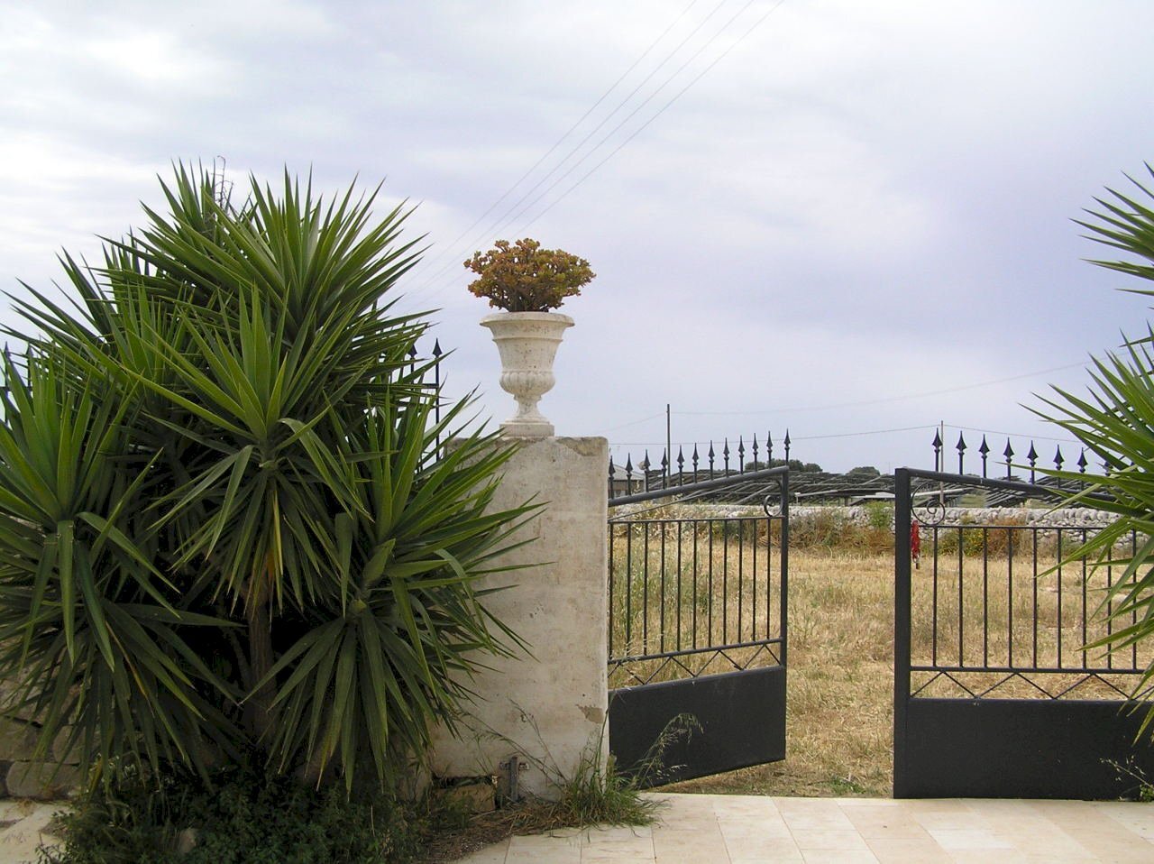 P4280063.JPG - Villa Ragusa - foto 1