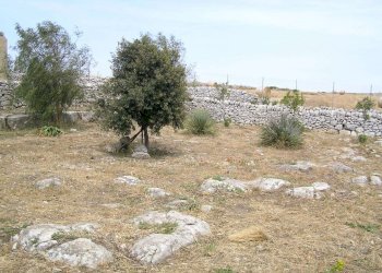 P4280060.JPG - Villa Ragusa - foto 6